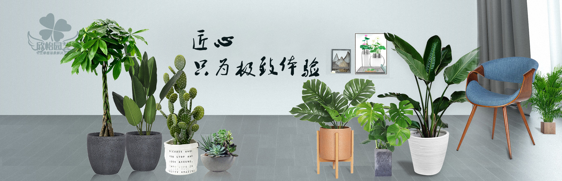 綠植租擺